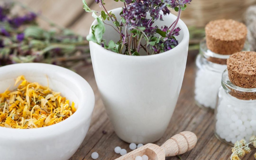 Suivre une cure d’homéopathie à Tréguier, 22220