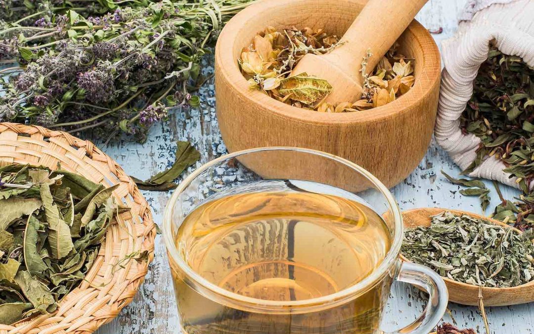 Essayer la médecine douce, la phytothérapie, à Tréguier, 22220